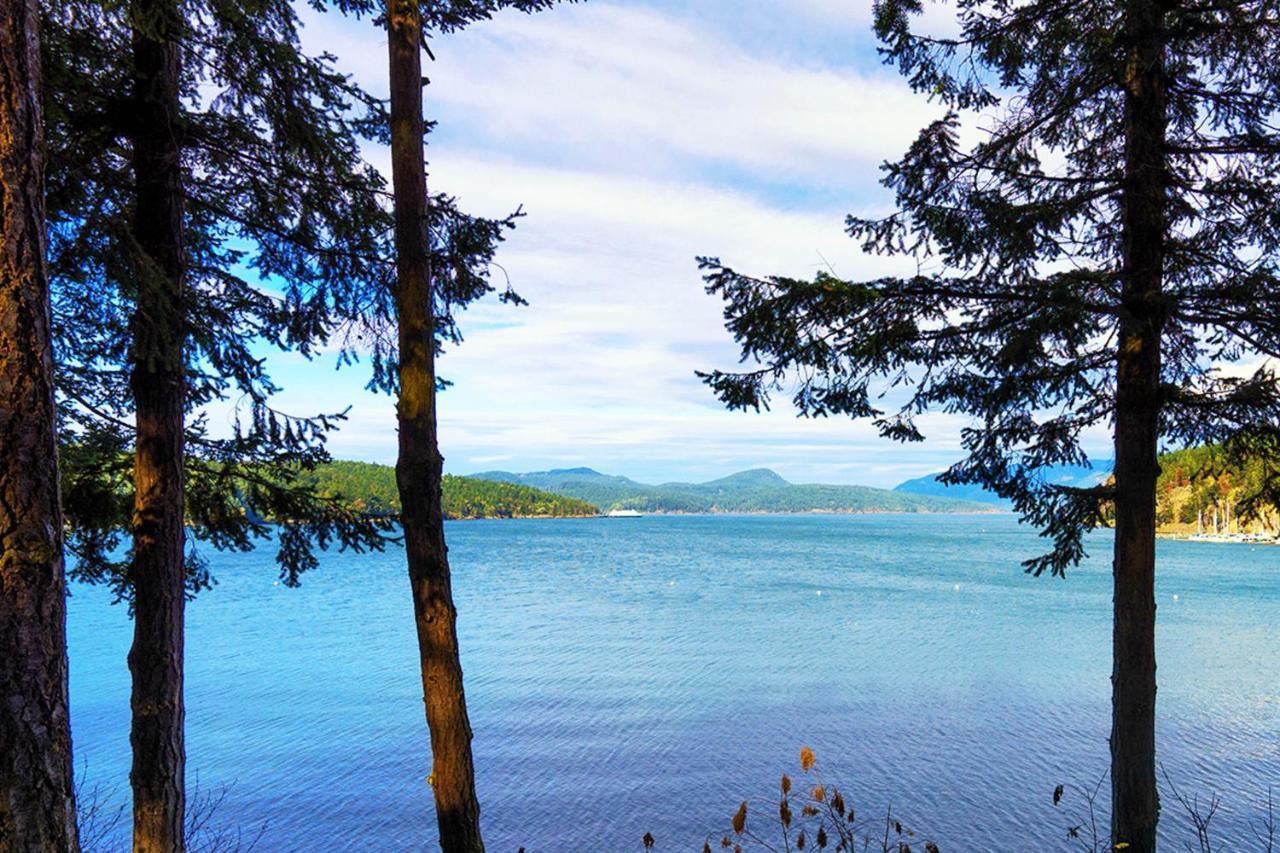 57 Mud Bay Holiday home *